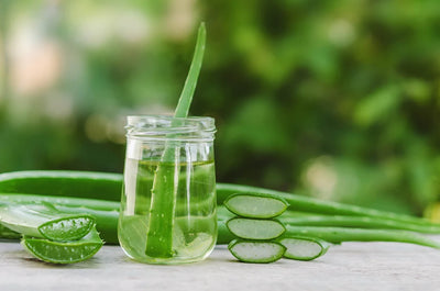 Aloe Vera